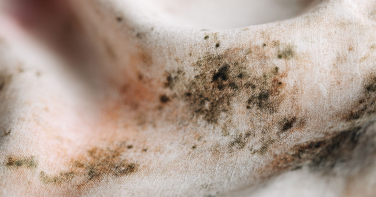 Ashley Blinds looks at why your curtains can go mouldy - and how you can prevent it.