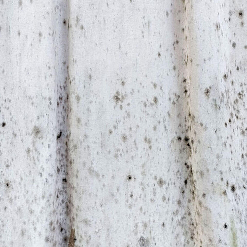 What causes mould on curtain linings?